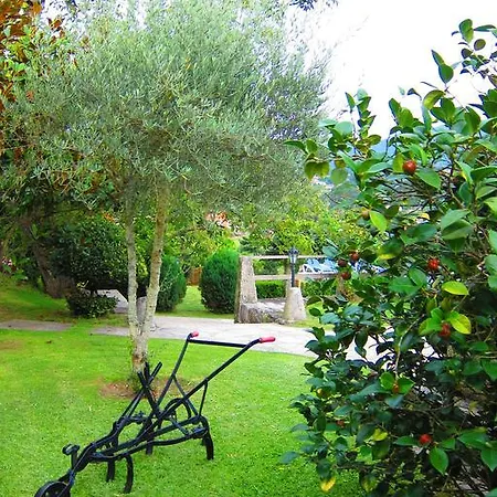 Turisticos Casa Roque *