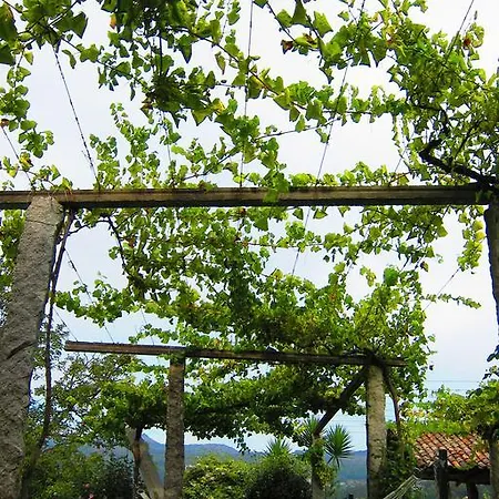 Turísticos Casa Roque