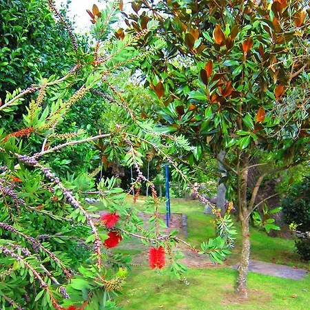 Turisticos Casa Roque