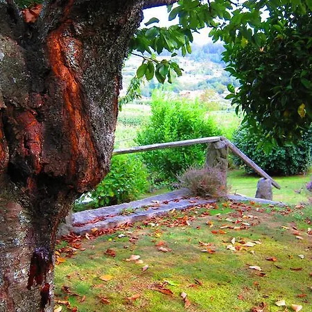 Turisticos Casa Roque 度假居