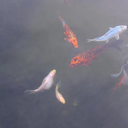 Turisticos Casa Roque Nyaraló