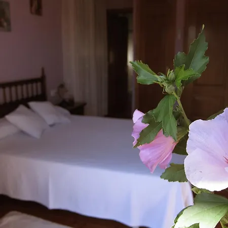 Сasa de vacaciones Casa Roque *