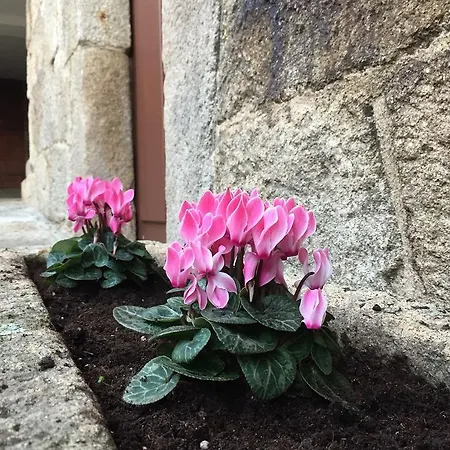 Turisticos Casa Roque