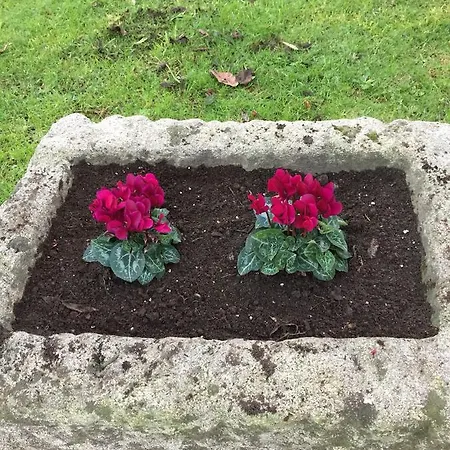 Turisticos Casa Roque Casa vacanze Gondomar