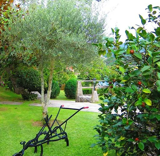 Turisticos Casa Roque *