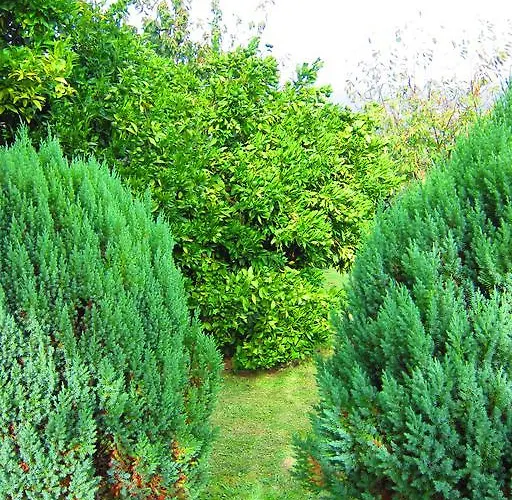 Turisticos Casa Roque 別荘 ゴンドマール