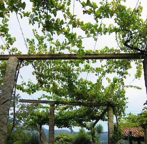 Turisticos Casa Roque