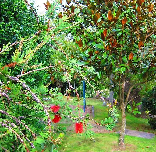 Turisticos Casa Roque