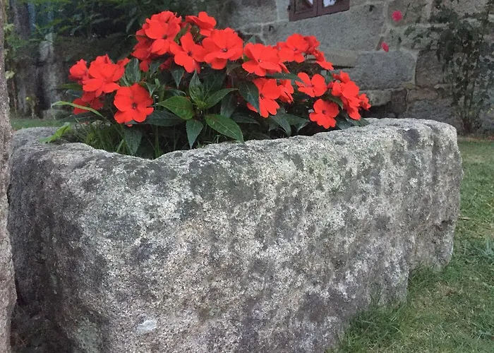 Turisticos Casa Roque 別荘 ゴンドマール