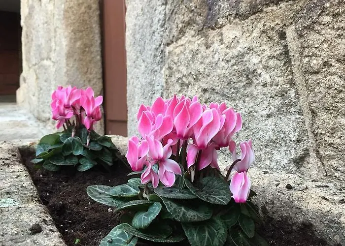 Turisticos Casa Roque