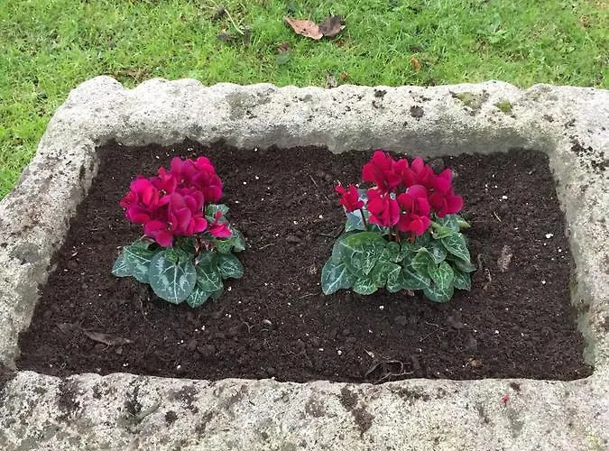 Turisticos Casa Roque 別荘 ゴンドマール